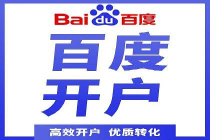 百度推广全攻略：成功案例剖析